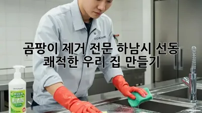 🏠 곰팡이 제거 전문! 하남시 선동 쾌적한 우리 집 만들기 ✨