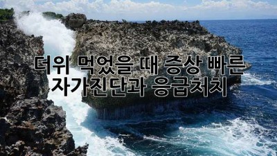 더위 먹었을 때 증상: 빠른 자가진단과 응급처치